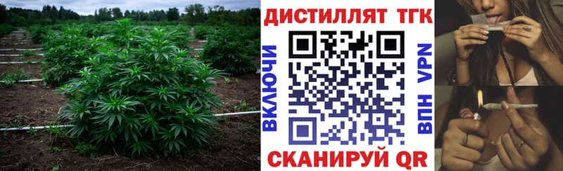 ТГК жижа  закладки  Белёв 